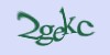 Tekshiruvchi kod